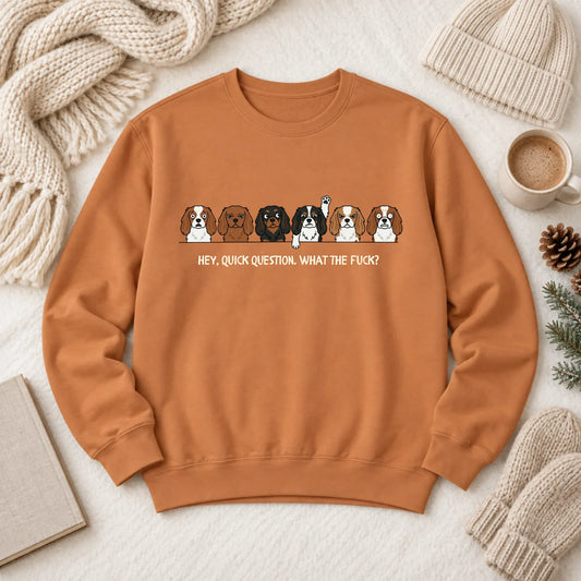 Cavalier Funny Question WTF Unisex Sweatshirt Yam