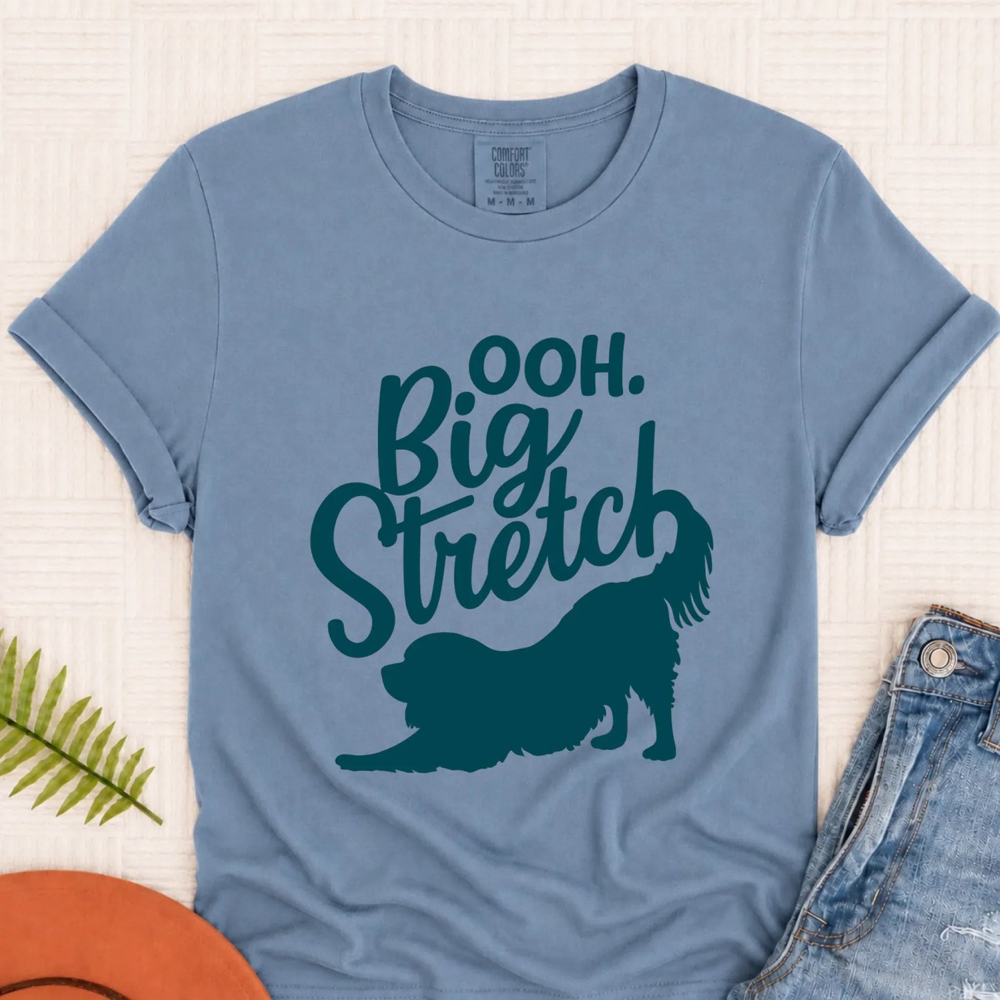 Cavalier King Charles Big Stretch Yoga Unisex TShirt Blue Jean