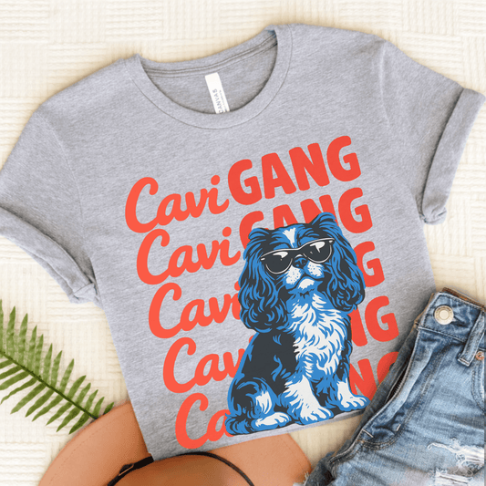 Cavalier Gang Meme Unisex TShirt Athletic Heather