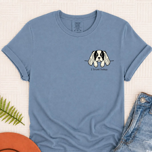 Cavalier King Charles Funny Tried Today Unisex Tshirt