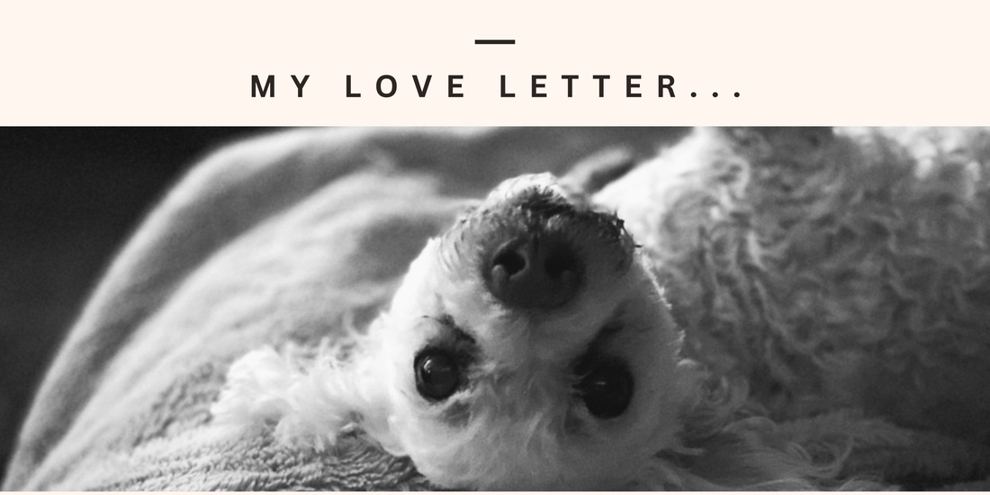 A Love Letter to Johnnie...and dog owners everywhere.