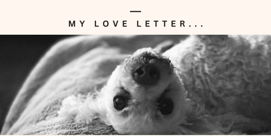 A Love Letter to Johnnie...and dog owners everywhere.