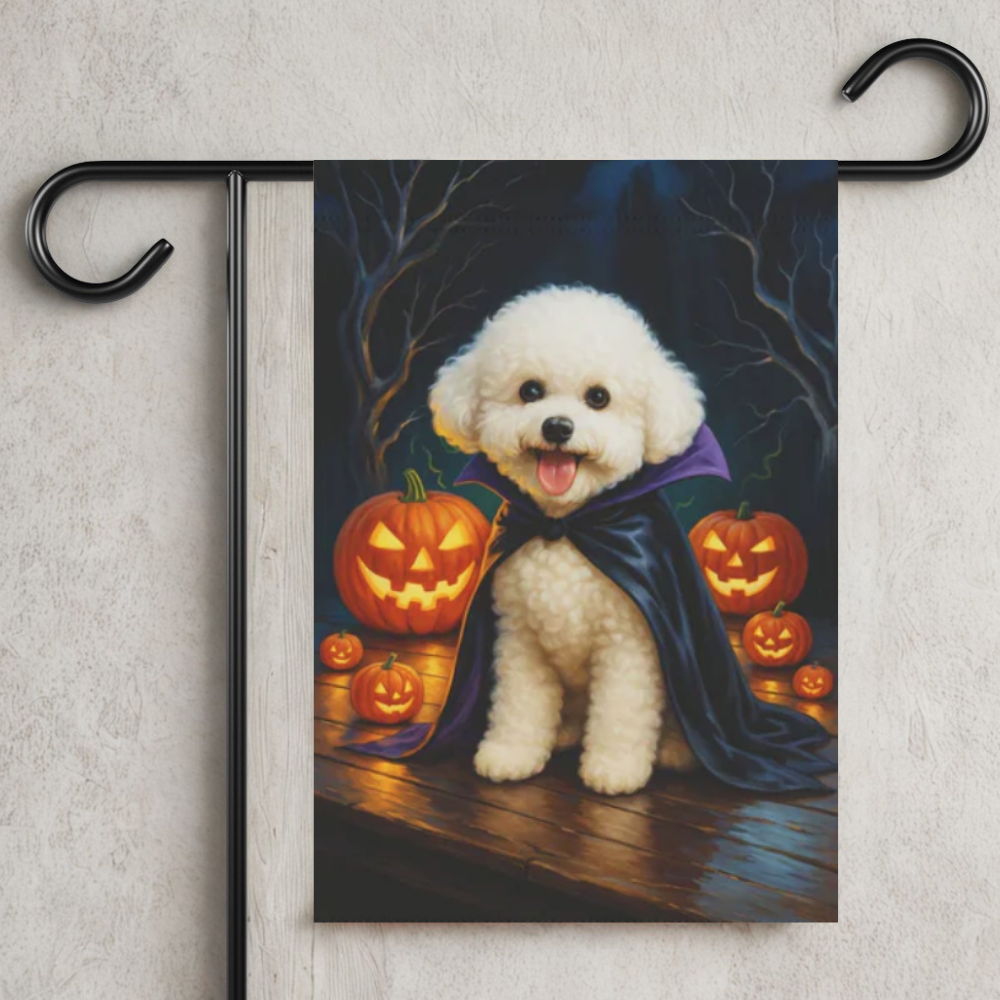 Bichon Frise