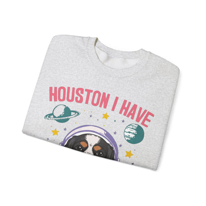 Tricolor Cavalier Houston Space Sweatshirt