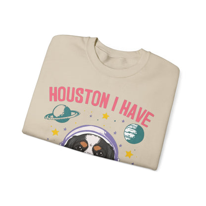 Tricolor Cavalier Houston Space Sweatshirt