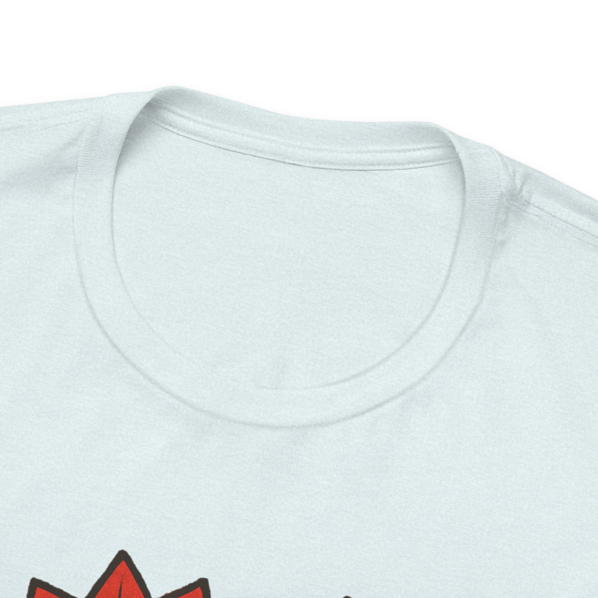 Black Frenchie Holiday Flowers Sleeping TShirt