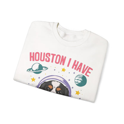 Tricolor Cavalier Houston Space Sweatshirt