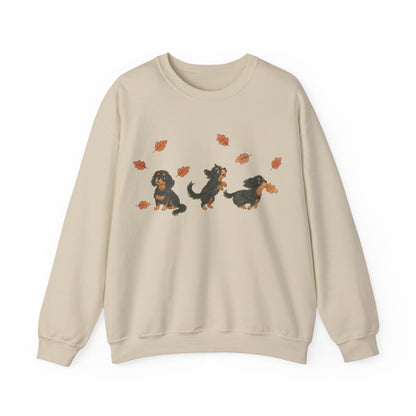 Black Tan Cavalier Chasing Leaves Sweatshirt