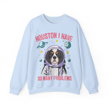 Tricolor Cavalier Houston Space Sweatshirt