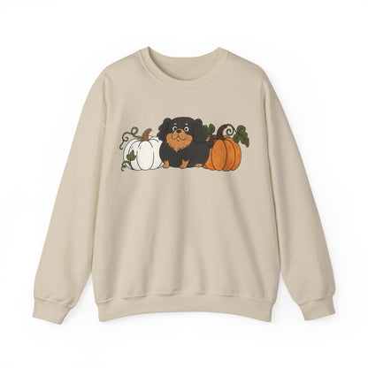 Black Tan Cavalier Pupkin Unisex Sweatshirt