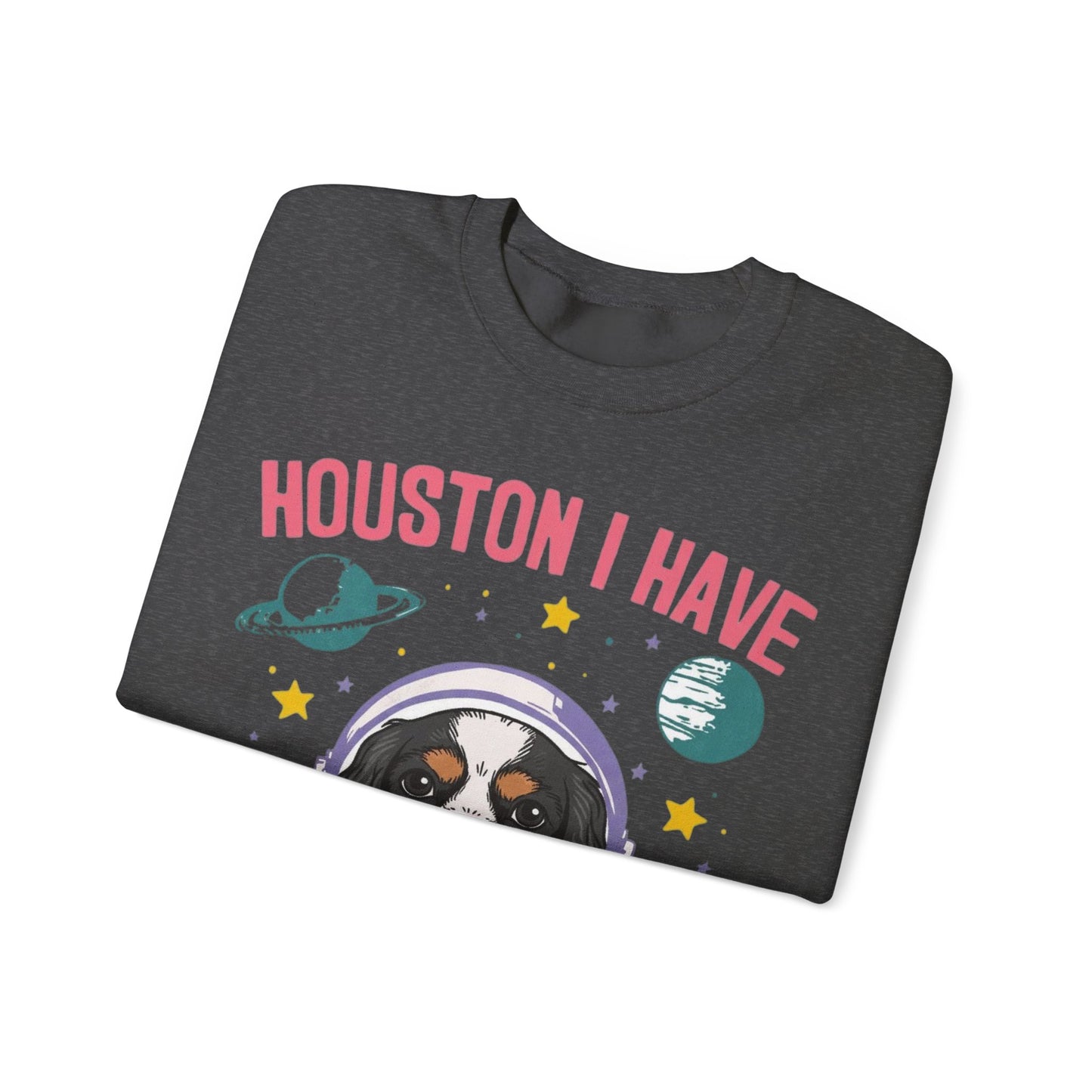 Tricolor Cavalier Houston Space Sweatshirt
