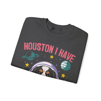 Tricolor Cavalier Houston Space Sweatshirt