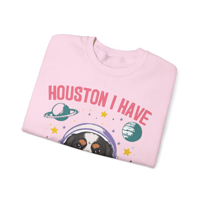 Tricolor Cavalier Houston Space Sweatshirt