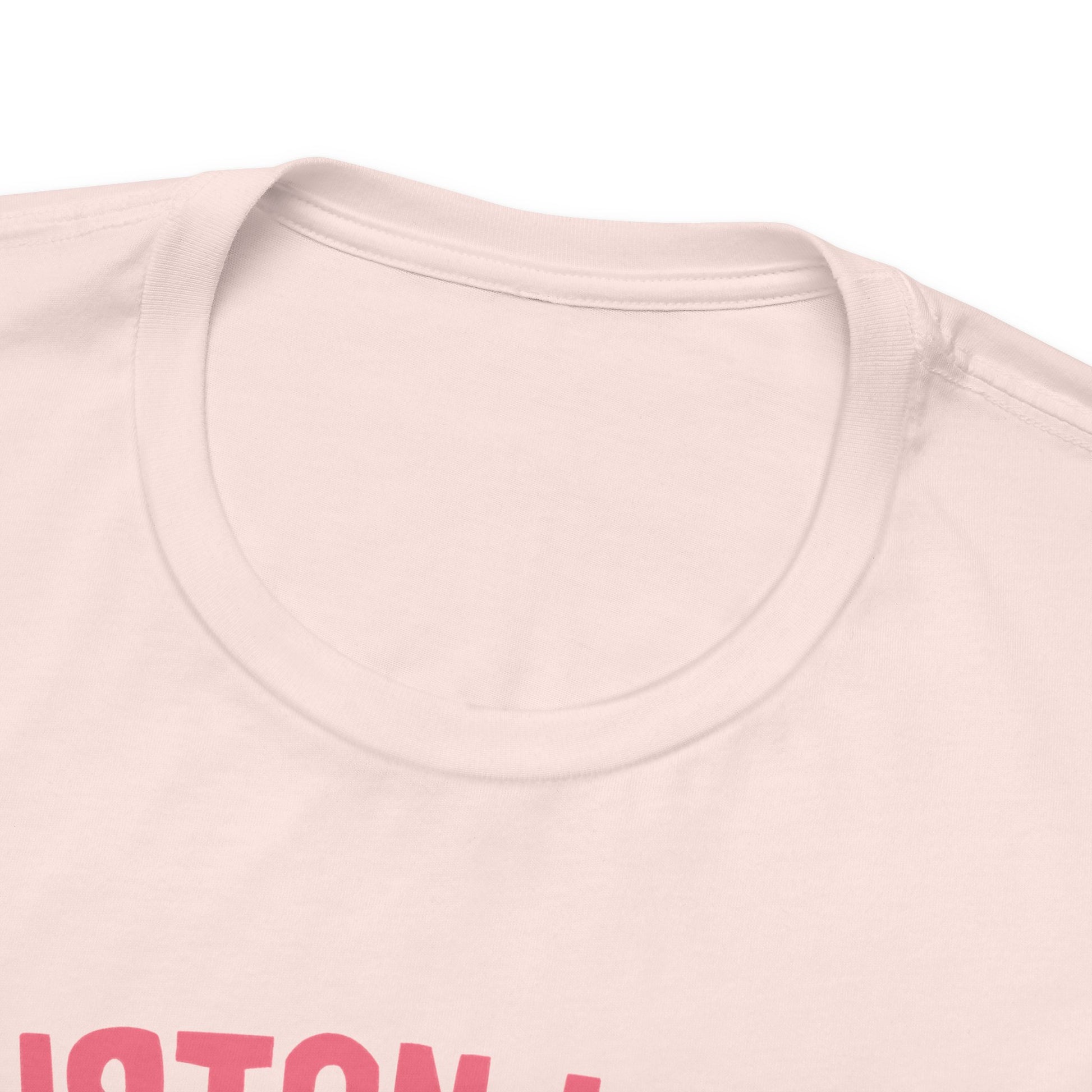 Piebald Houston Space TShirt