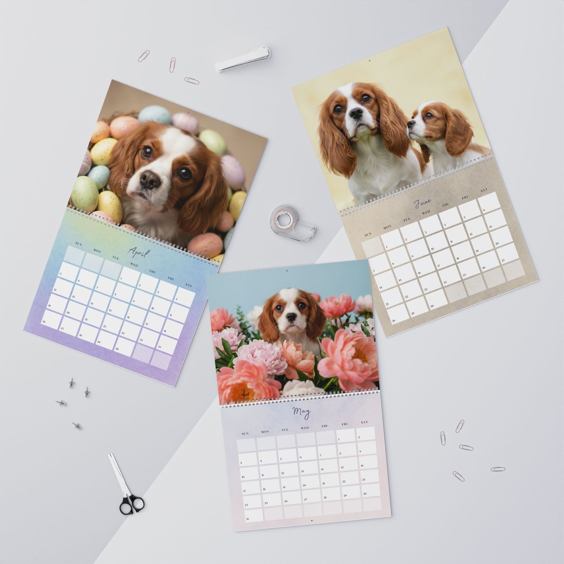 2026 Blenheim Cavalier Wall Calendar