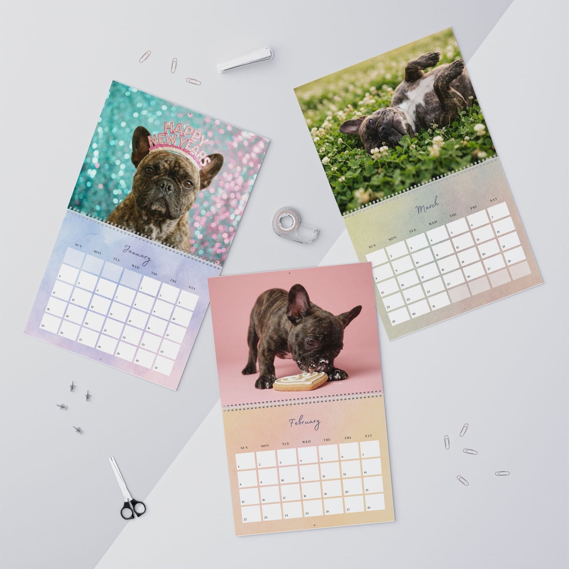 2026 Brindle Frenchie Wall Calendar