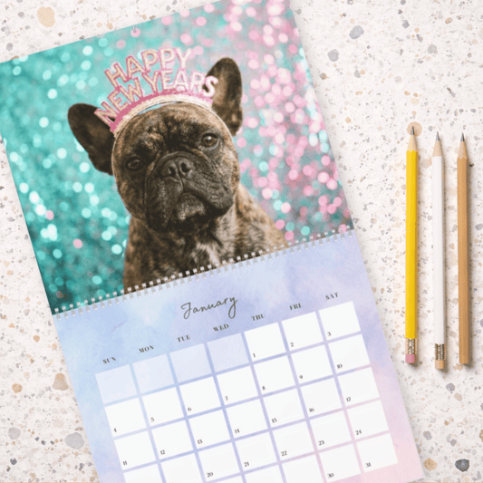 2026 Brindle Frenchie Wall Calendar 14" x 11.5" Matte