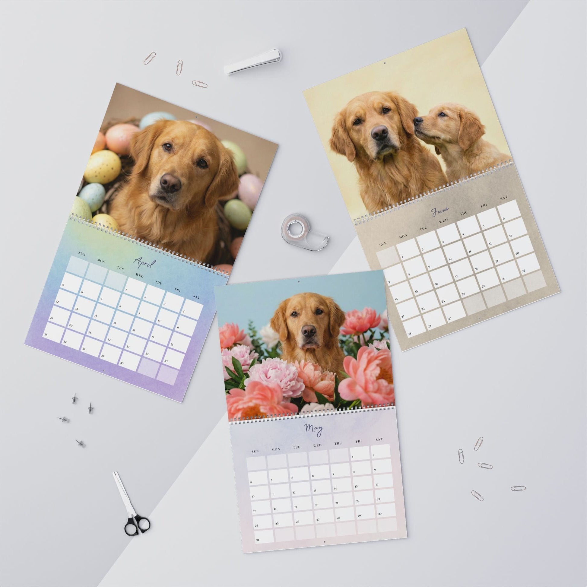 2026 Golden Retriever Wall Calendar