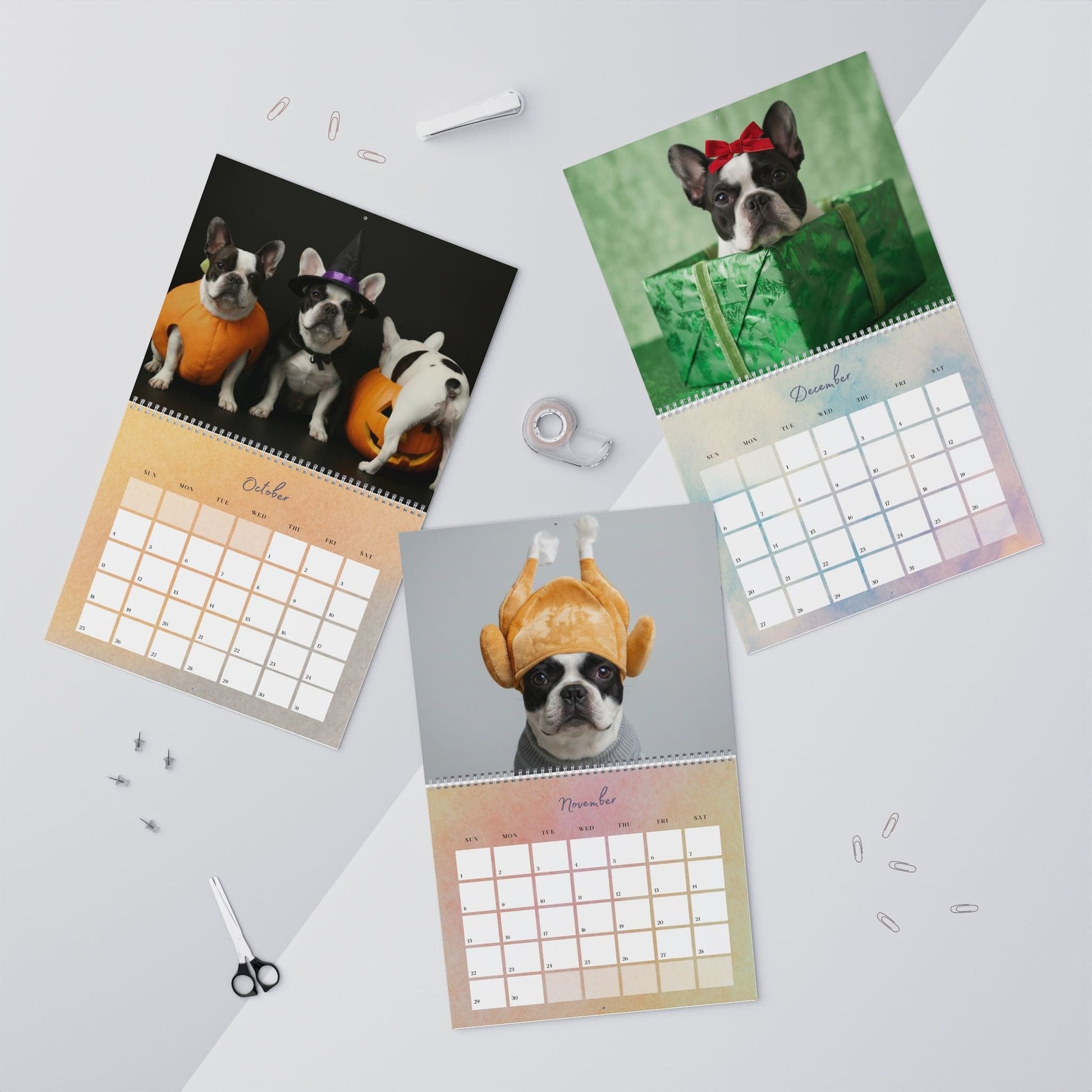2026 Piebald Frenchie Wall Calendar