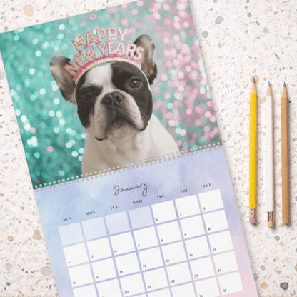2026 Piebald Frenchie Wall Calendar 14" x 11.5" Matte