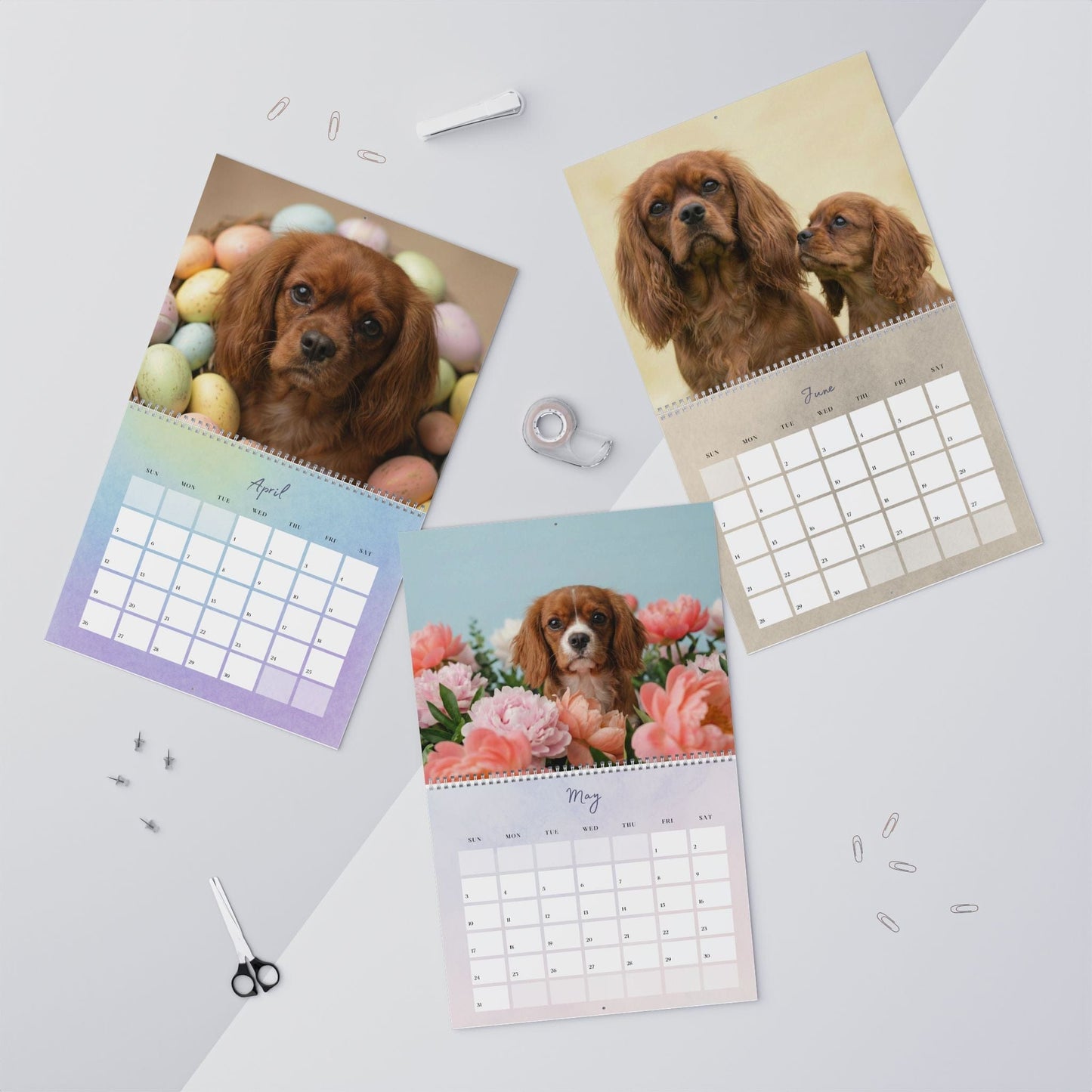 2026 Ruby Cavalier Wall Calendar