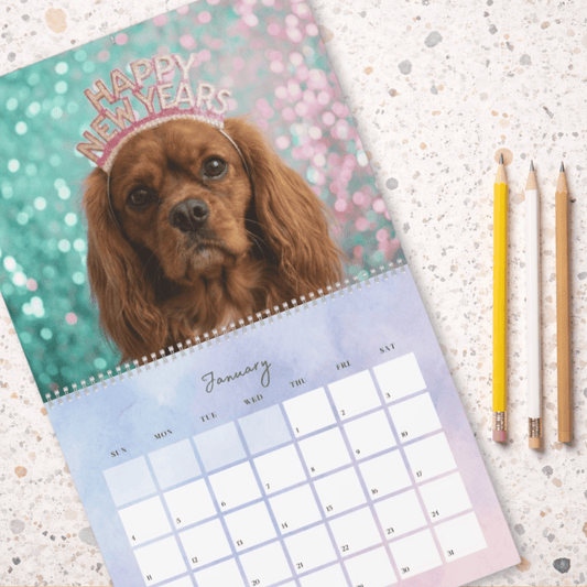 2026 Ruby Cavalier Wall Calendar 14" x 11.5" Matte