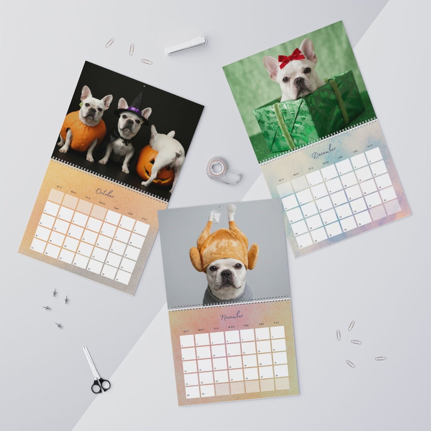 2026 White Frenchie Wall Calendar