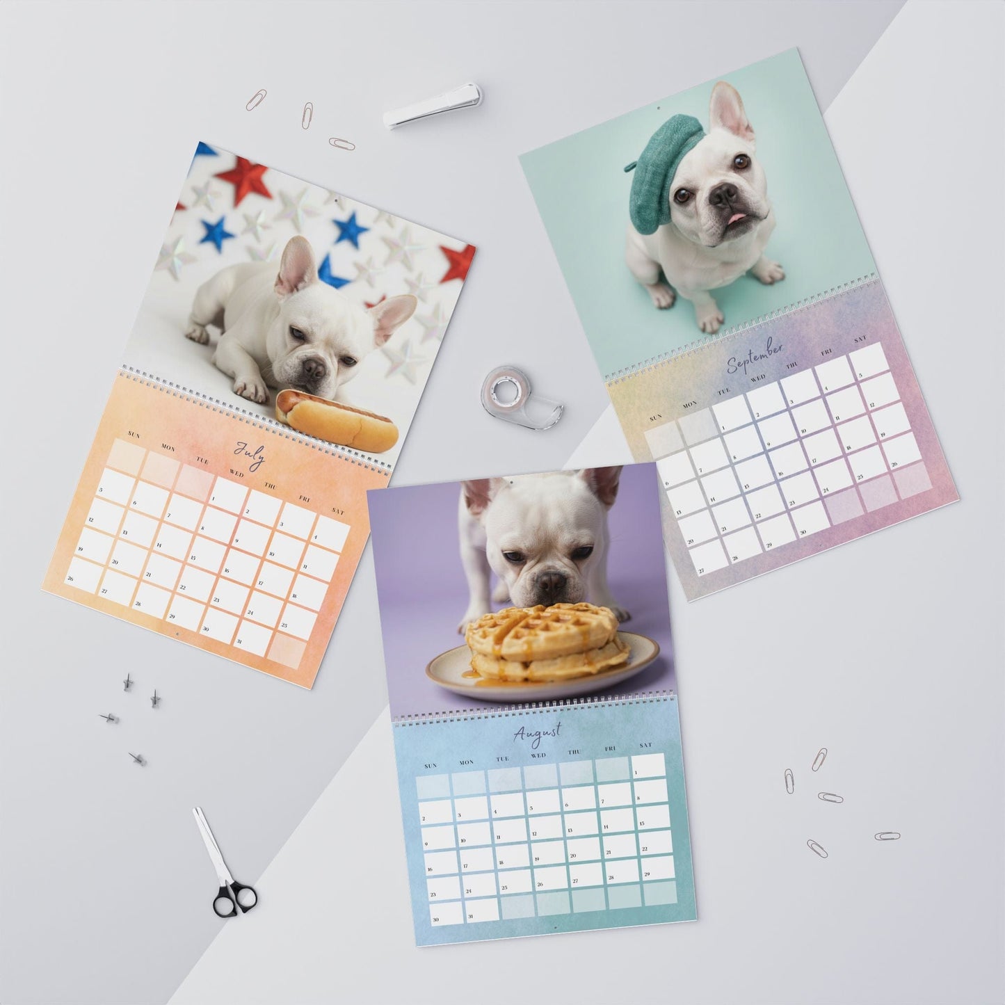 2026 White Frenchie Wall Calendar