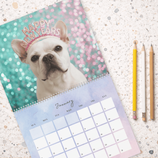 2026 White Frenchie Wall Calendar 14" x 11.5" Matte