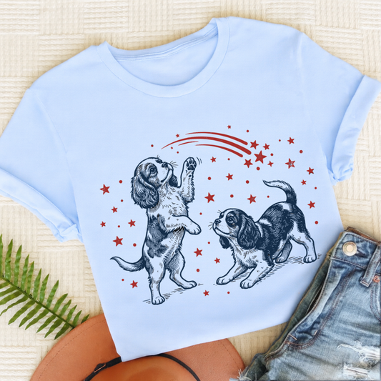 Cavalier USA Stars Unisex TShirt Light Blue