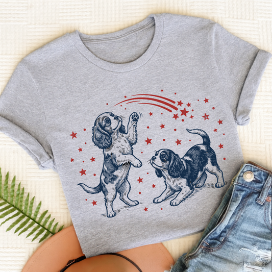 Cavalier USA Stars Unisex TShirt Sport Grey