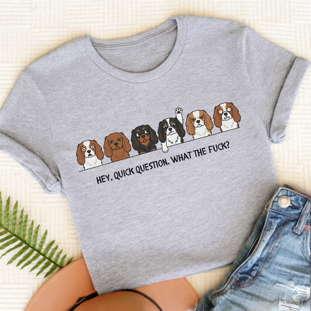 Cavalier Question WTF Unisex TShirt Sport Grey