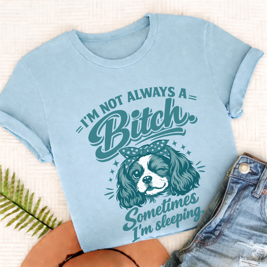 Cavalier Sometimes Sleeping Snark Unisex TShirt Comfort Colors Chambray