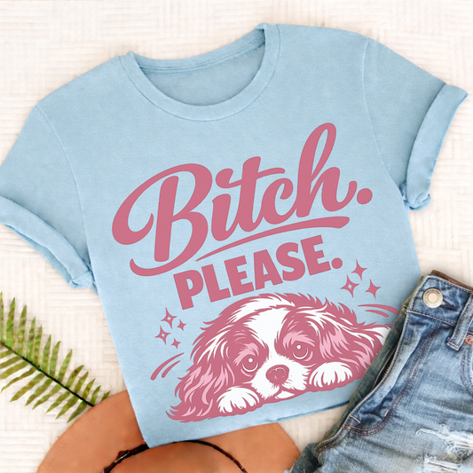 Cavalier King Charles Bitch Please Unisex TShirt Comfort Colors Chambray