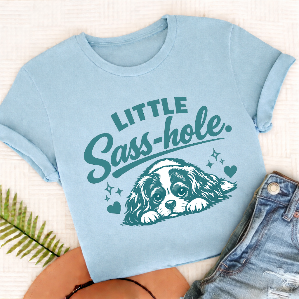 Cavalier King Charles Sass Hole Unisex TShirt Comfort Colors Chambray