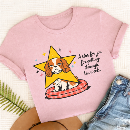 Cavalier King Charles Star for You Unisex TShirt Comfort Colors Blossom