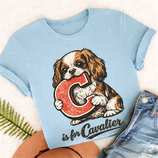 Cavalier King Charles Alphabet Unisex TShirt Comfort Colors Chambray