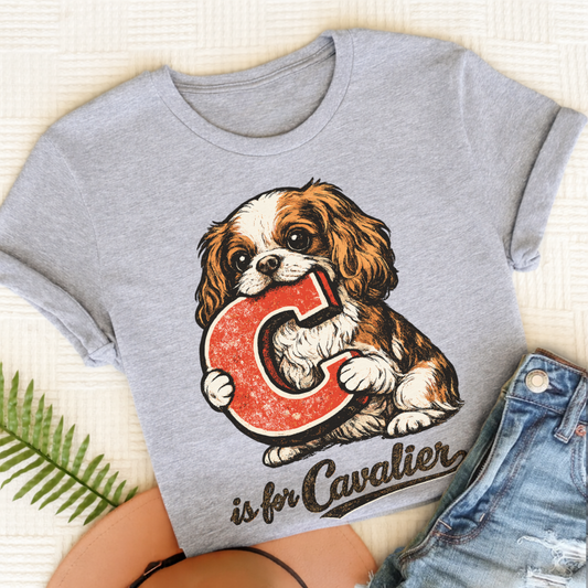 Cavalier King Charles Alphabet Unisex TShirt Sport Grey