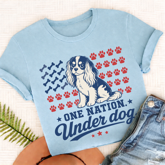 Cavalier King Charles Licks and Liberty Unisex TShirt Comfort Colors Chambray