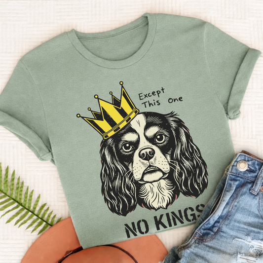 Custom Cavalier No Kings Protest Unisex TShirt Bay