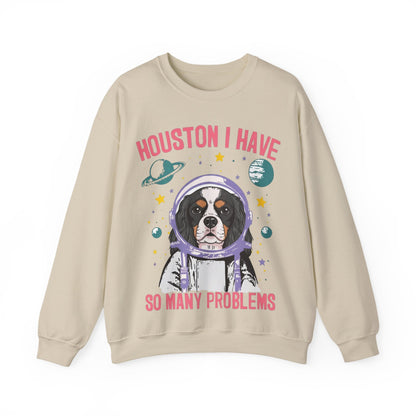 Tricolor Cavalier Houston Space Sweatshirt