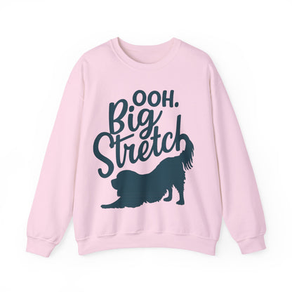 Cavalier King Charles Big Stretch Sweatshirt