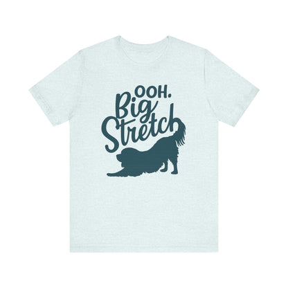 Cavalier King Charles Big Stretch TShirt