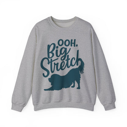 Cavalier King Charles Big Stretch Sweatshirt