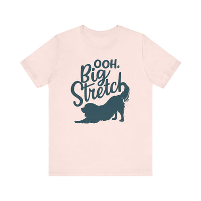 Cavalier King Charles Big Stretch TShirt