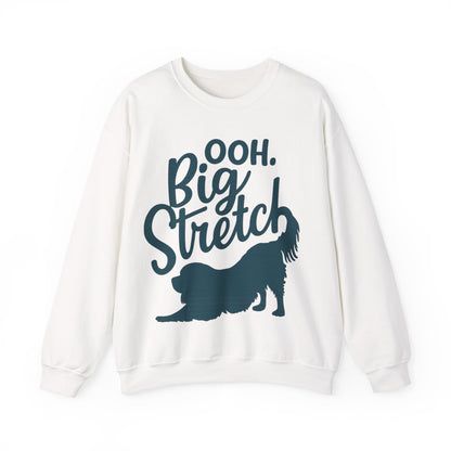 Cavalier King Charles Big Stretch Sweatshirt