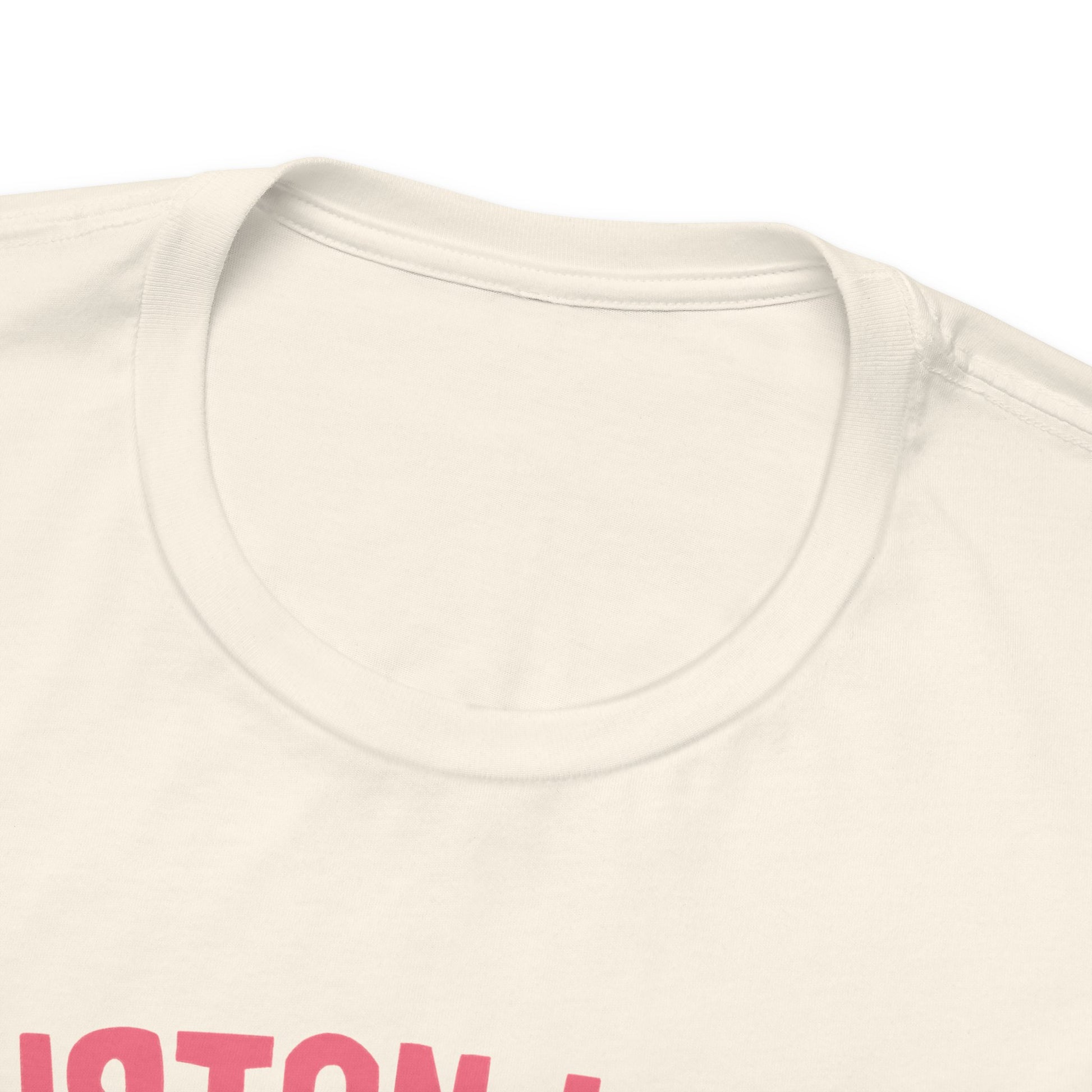 Piebald Houston Space TShirt