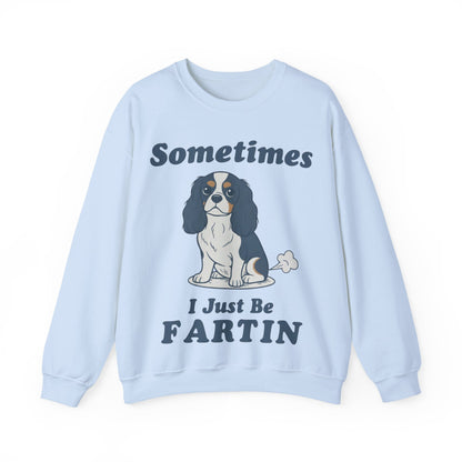 Tricolor Cavalier Fartin Sweatshirt