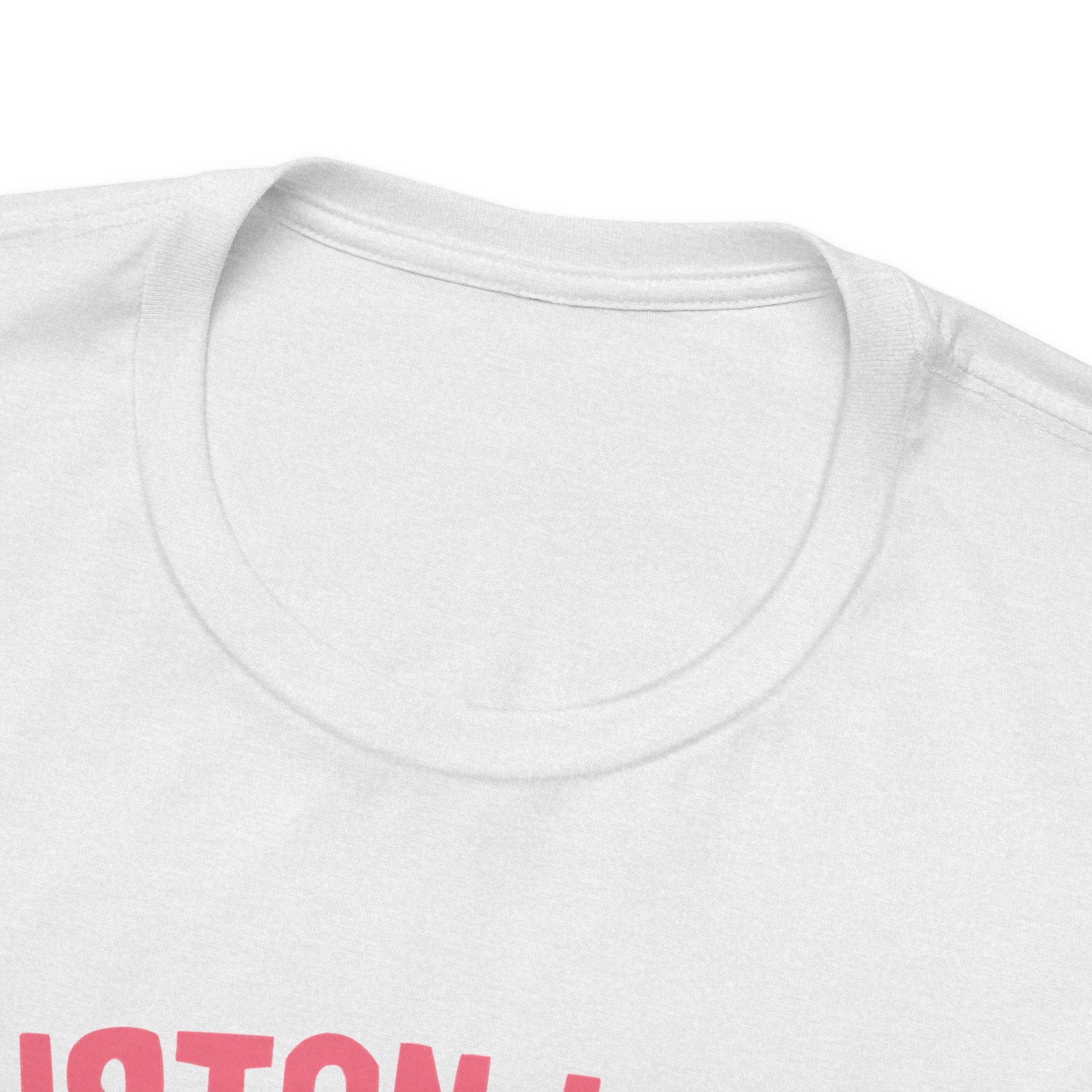 Piebald Houston Space TShirt