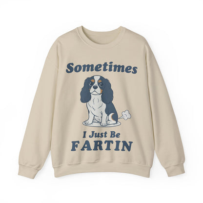 Tricolor Cavalier Fartin Sweatshirt